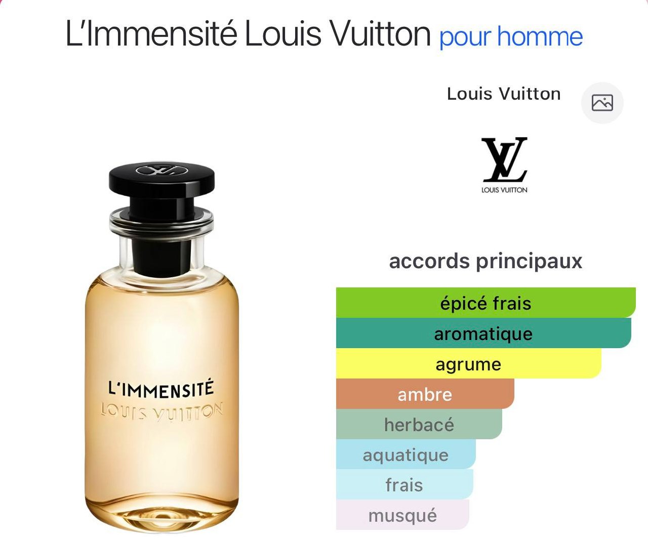 Inspired By L'IMMENSITE LV