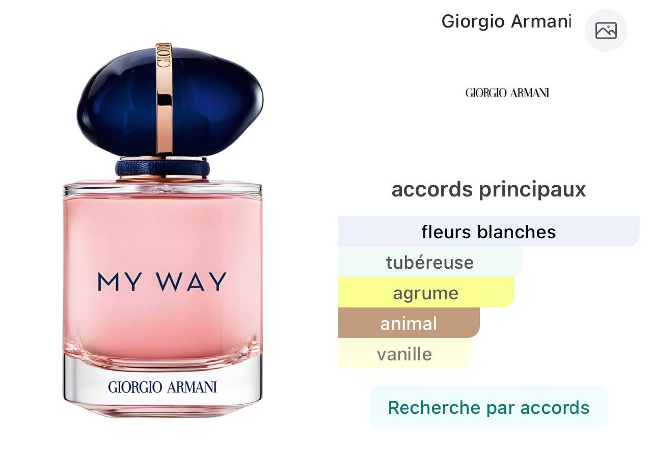 Inspired By MY WAY Giorgio ARMANI